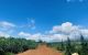 thum-m_gVMI7c5dv6_1652232552.jpg