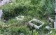 thum-8602653_fh6vV5qtpe_1652323643.jpg