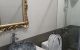 thum-8603622_SiA9WUGHMr_1652343742.jpg