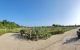 thum-8603973_uLN9TMwDjS_1652354372.jpg