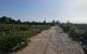 thum-8603973_wkTha51S8D_1652354370.jpg