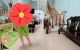 thum-m_EdeVM9vbO0_1652338510.jpg