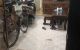 thum-m_FcxMPyvne2_1652342521.jpg
