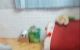 thum-8604359_gNirXyuGJd_1652382220.jpg