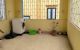 thum-8605725_lU5O8Yqiza_1652416357.jpg