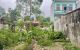 thum-m_iyCNgD7tVq_1652408455.jpg