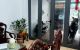 thum-m_mTOzPRkMpj_1652430709.jpg