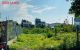 thum-m_qOj9FcRws5_1652407876.jpg