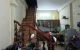 thum-8606876_rkMUdsJGPB_1652461425.jpg