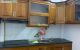 thum-8607575_R2ylDhfgG4_1652490764.jpg