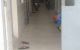 thum-8608375_EkdlunStFC_1652503285.jpg