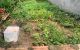 thum-m_AoPHXnSvGd_1652491285.jpg