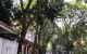 thum-m_D7vEjJqYaQ_1652517886.jpg