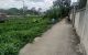 thum-m_vJCtWqSIfp_1652503280.jpg