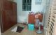 thum-8610649_7zs3kacbfu_1652581271.jpg