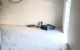 thum-8611251_CagvM0JzD3_1652633656.jpg
