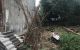 thum-m_XCMxwtWP2p_1652620583.jpg
