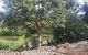 thum-8613113_0cCAXxntz8_1652685284.jpg