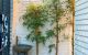 thum-m_JhOqSHI6w2_1652671920.jpg
