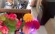 thum-8614806_hcMalu6Zzi_1652756033.jpg