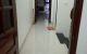 thum-8616225_PyWfGXaC3l_1652795864.jpg
