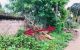 thum-m_WwmTohEsBZ_1652757270.jpg