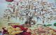 thum-m_bcItoCDTkx_1652756976.jpg