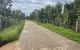 thum-8617444_bRN8PzM1nO_1652839982.jpg