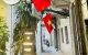 thum-8617782_xWSkpHD27y_1652846674.jpg