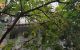 thum-8617895_gGZiVtsk6E_1652848290.jpg