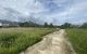 thum-8618600_XRmZj7LEG3_1652864786.jpg
