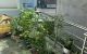 thum-8619012_G5MnDaZ1lt_1652887982.jpg