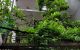 thum-m_IxRlcdWfu9_1652887274.jpg