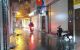 thum-m_fQhkSGseb9_1652861325.jpg