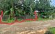 thum-m_zr8A6EfWmx_1652839965.jpg