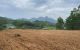thum-8620165_TPAi7pxSQK_1652926722.jpg
