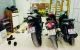 thum-8620559_U6T2SlOrVm_1652933406.jpg