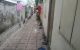 thum-8620809_gpjT7FJLsv_1652938985.jpg