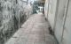 thum-8620809_sYXjyf075r_1652938980.jpg