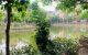 thum-m_IaLmSp1jUv_1652931946.jpg