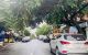 thum-m_dATJCWQNxf_1652942693.jpg