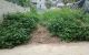 thum-m_kDd8fgwS96_1652953261.jpg
