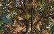 thum-8622701_X6cMOU5IAz_1653012899.jpg
