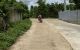 thum-m_3yOBsEKGd1_1653030610.jpg