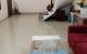 thum-m_d4CaRV1szA_1653031110.jpg