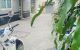 thum-m_yvEU96Yumh_1653027583.jpeg