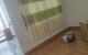 thum-8624883_AZ7FS4zqfb_1653092543.jpg