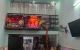 thum-8625751_7cvWoUQX4r_1653108714.jpg