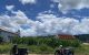 thum-8626124_1NjfgOuLWJ_1653122904.jpg