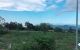 thum-8630082_NoiOzrLAm0_1653279169.jpg